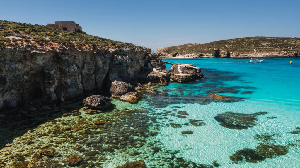 Capo Comino 4