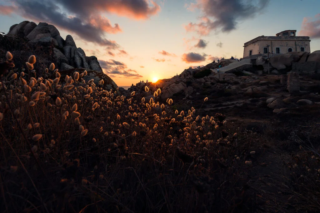 Capo testa faro