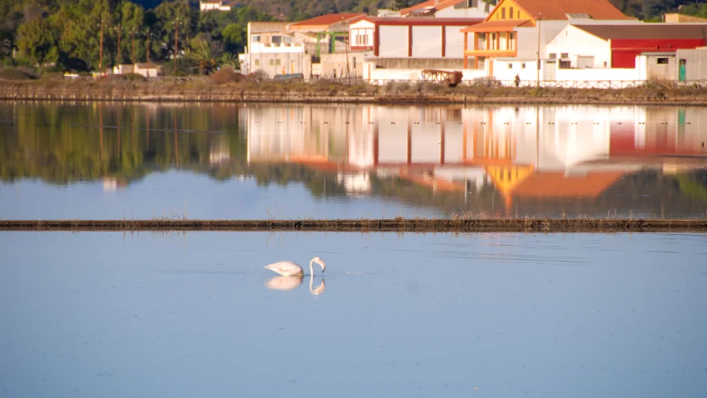 Carloforte Saline