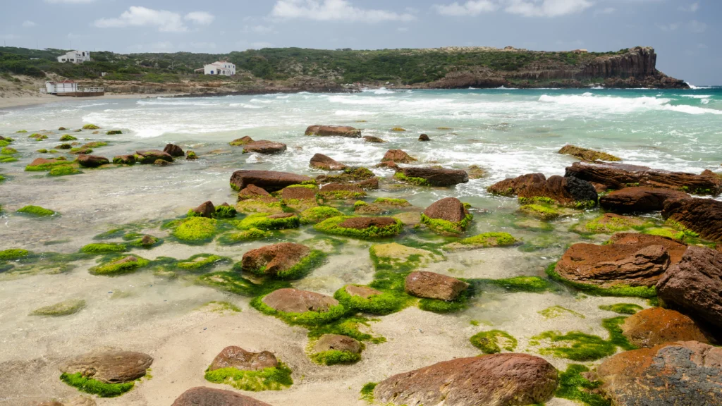 Carloforte spiagge