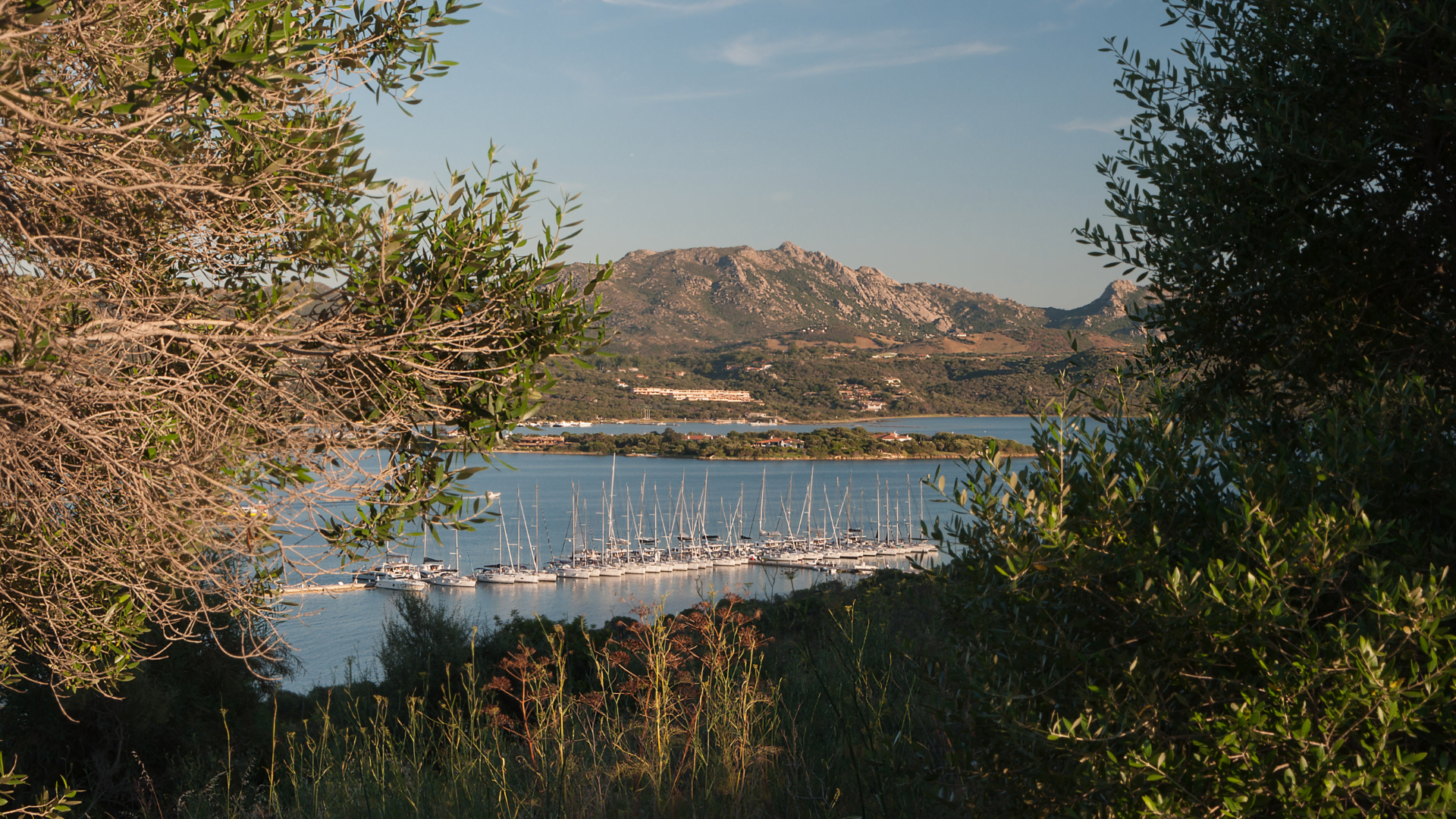 Porto Rondo Porto Rotondo: spiagge, cosa vedere e hotel consigliati - Sardiniabella