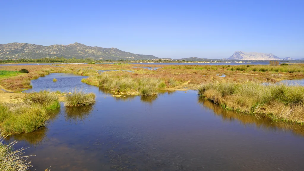 San Teodoro Laguna