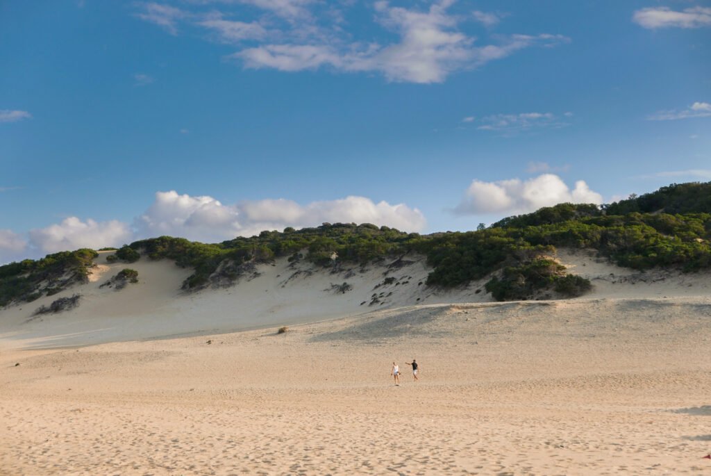 sand dunes in sardinia beach 2022 11 07 07 38 23 utc