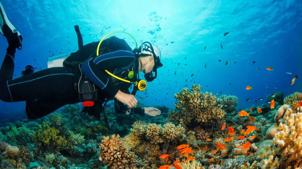 Diving in Sardegna