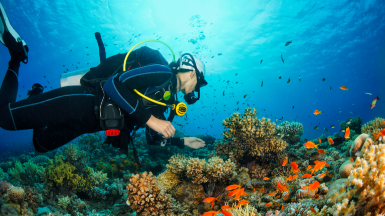 Diving in Sardegna, migliori posti per immersioni
