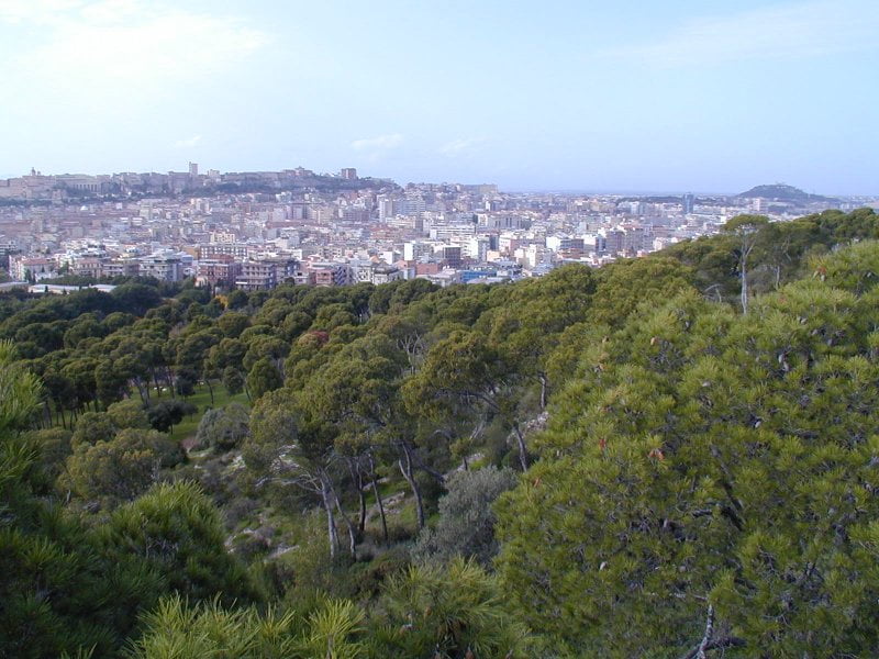 Panorama of Cagliari from the hill and park of Monte Urpinu