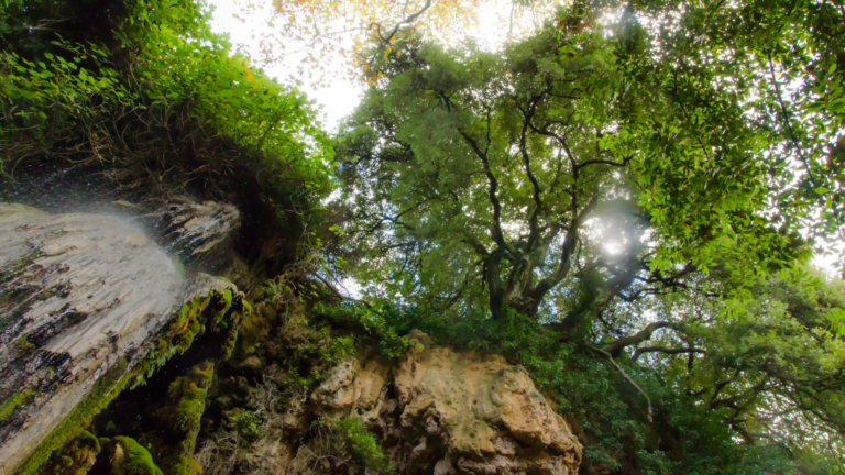 Parco Aymerich: Viaggio nel Cuore Verde della Sardegna