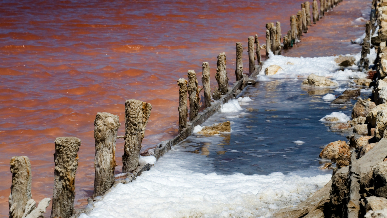 parco naturale regionale molentargius saline