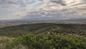 Pineta vista strada Sinnai e campagna