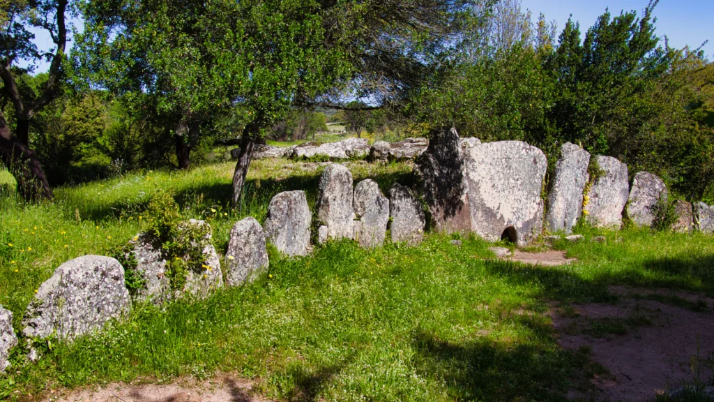 Tomba dei Giganti pascareddha