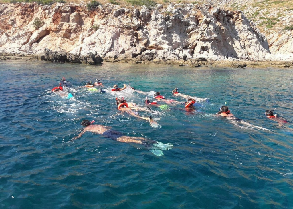 image 13